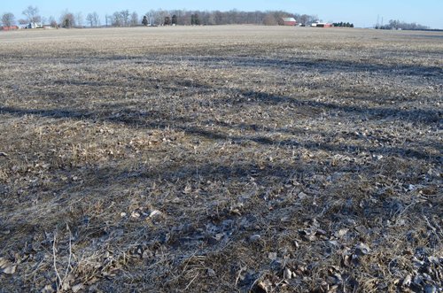 Property photo 33 - East Allen County - 55 Acre Land Auction